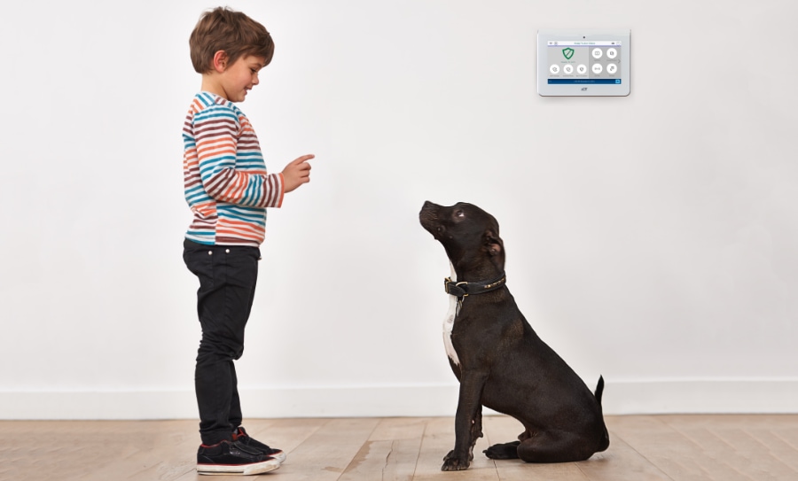 Dana security systems